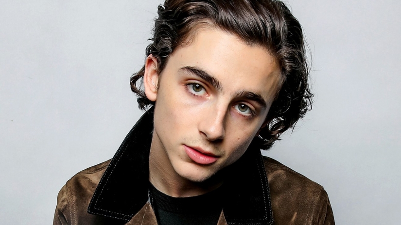 El actor Timothy Chalamet es un nuevo e inteligente símbolo sexual de la modernidad