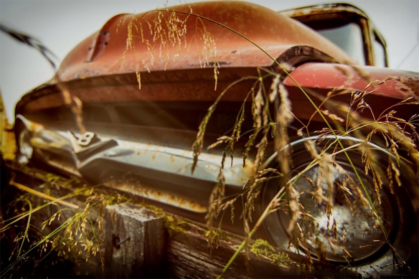 El alemán pasó diez años buscando por toda Europa cementerios de coches viejos , desde tractores hasta Mercedes