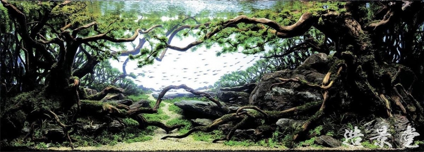 El arte de los acuarios-increíbles paisajes submarinos El arte de los acuarios-increíbles paisajes submarinos