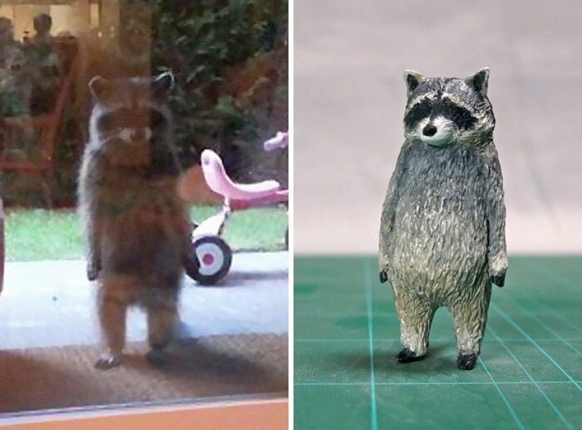 El artista crea las figuras de los animales en el divertido meme de Internet