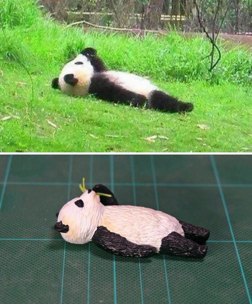 El artista crea las figuras de los animales en el divertido meme de Internet