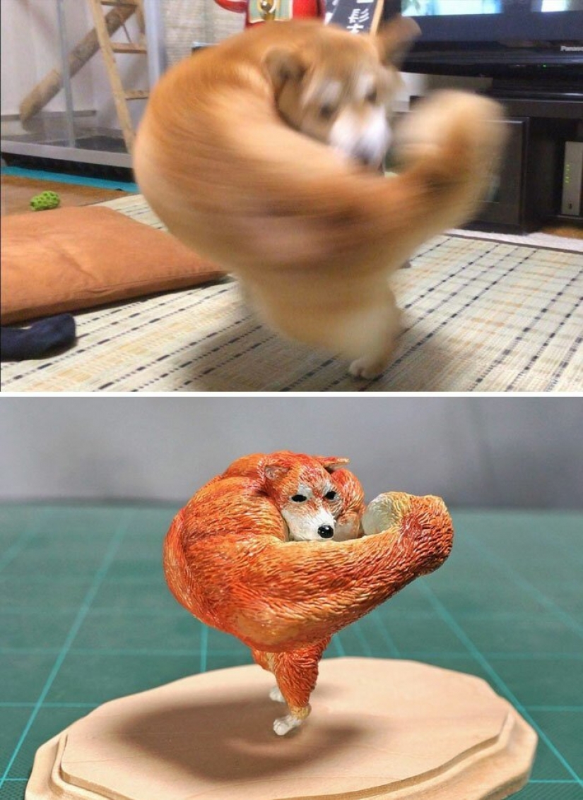 El artista crea las figuras de los animales en el divertido meme de Internet