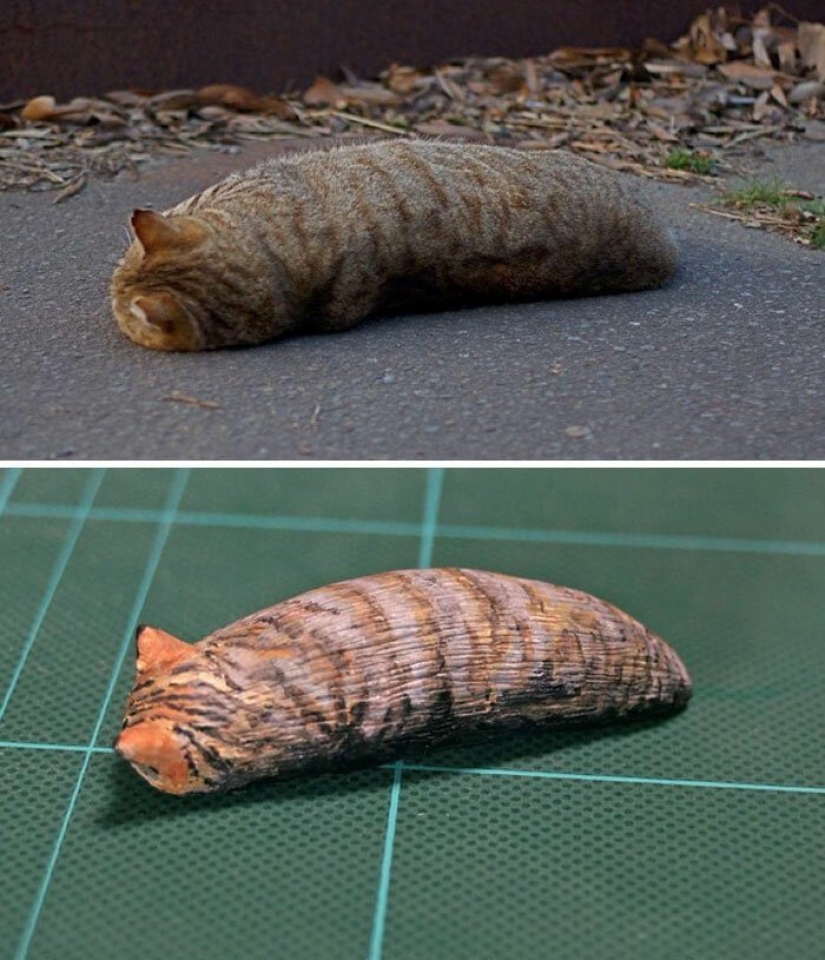 El artista crea las figuras de los animales en el divertido meme de Internet