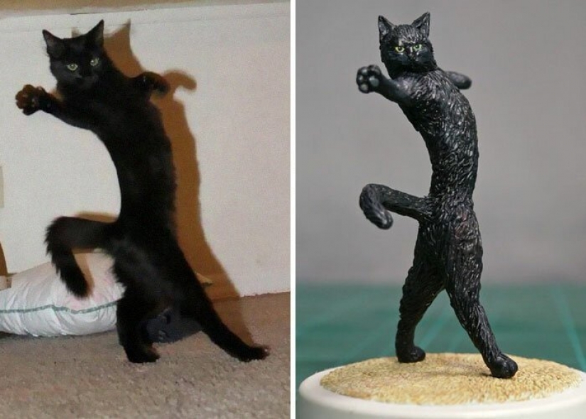 El artista crea las figuras de los animales en el divertido meme de Internet