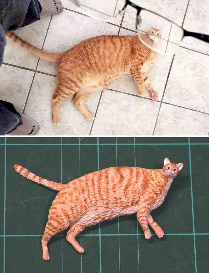 El artista crea las figuras de los animales en el divertido meme de Internet