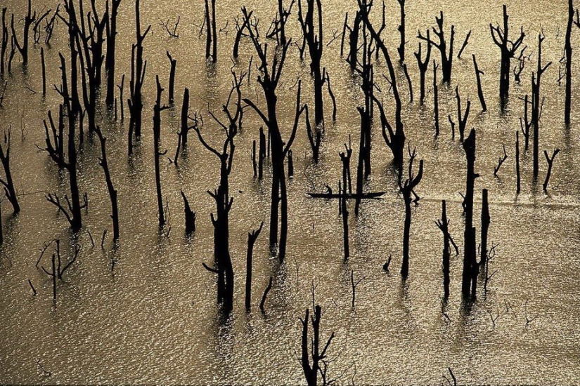 El legendario proyecto fotográfico "La Tierra vista desde el cielo"