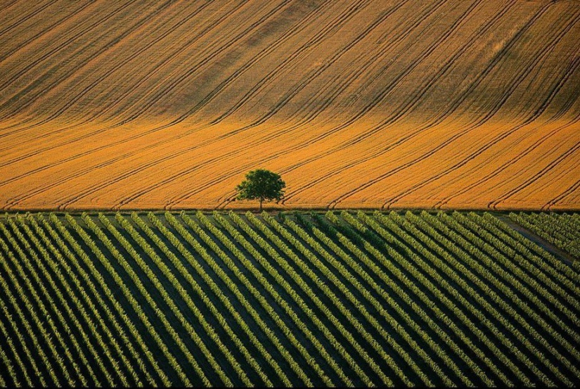 El legendario proyecto fotográfico "La Tierra vista desde el cielo"