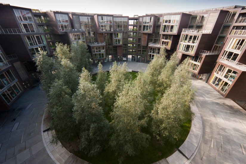 El mejor dormitorio de estudiantes en el mundo