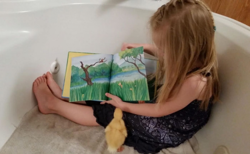 El pato considera que una niña de 5 años es su madre