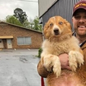 El perro que salvó a la familia durante el tornado, regresó a casa después de dos meses