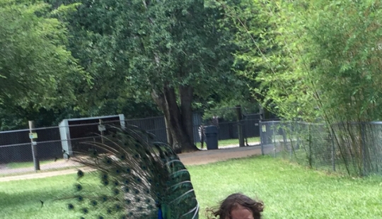 El viaje familiar al zoológico salió mal