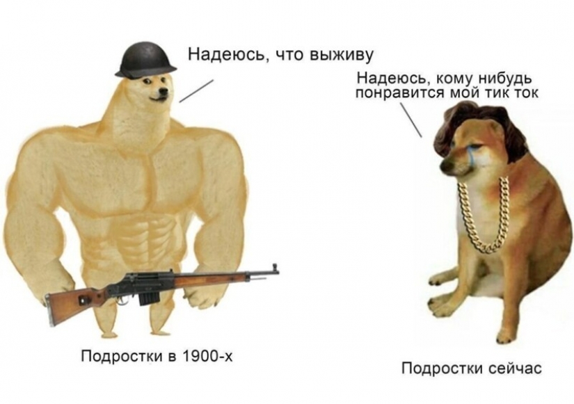 Emocional Shiba inu se convirtió en una estrella de memes sobre la diferencia de las generaciones