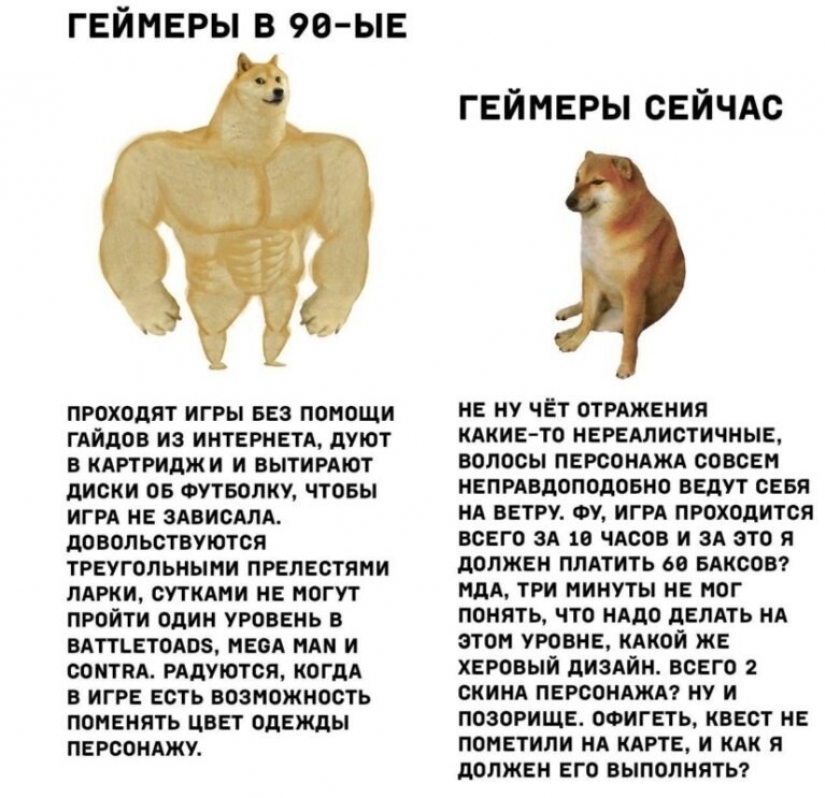 Emotional Shiba inu became a star of memes about the difference generations Emotional Shiba inu became a star of memes about the difference generations