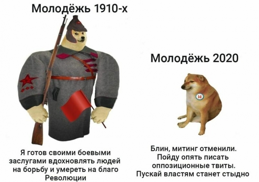 Emotional Shiba inu became a star of memes about the difference generations Emotional Shiba inu became a star of memes about the difference generations