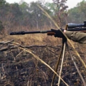 En Australia, van a matar a 11 mil caballos para salvar la naturaleza