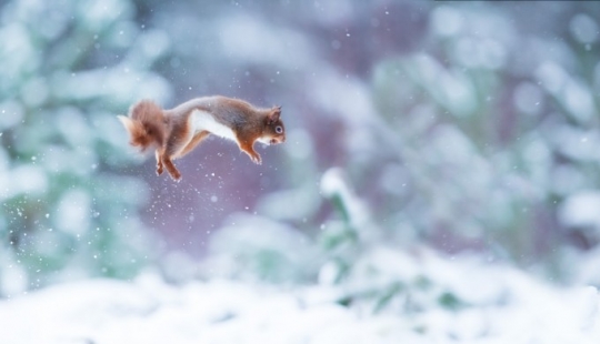 En el lugar correcto en el momento correcto