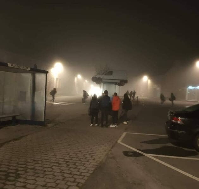 En Francia, un coche fue encontrado en el techo de una parada de autobús. ¿Cómo llegó allí?