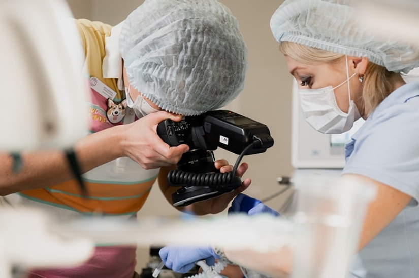 En los EE.UU., los cirujanos extirparon un diente que creció en la nariz de un hombre
