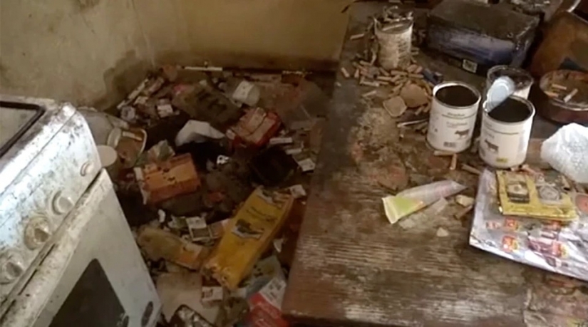 En los suburbios, en una casa sucia llena de gatos encontrado a la chica de Mowgli En los suburbios, en una casa sucia llena de gatos encontrado a la chica de Mowgli