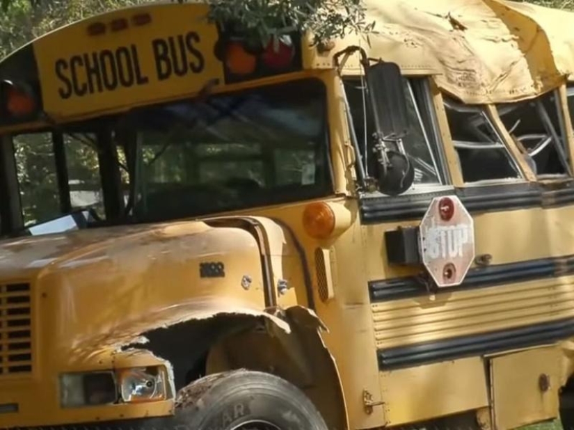 En Louisiana, un niño de 11 años robó un autobús escolar y lo estrelló contra un árbol
