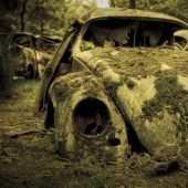 Enorme atasco de tráfico en el bosque belga