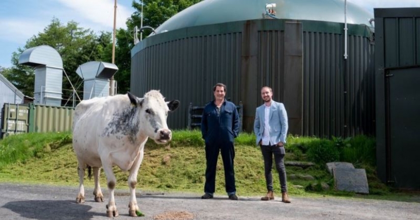 Environmental mining: the Briton invests manure in the business, and receives cryptocurrency Environmental mining: the Briton invests manure in the business, and receives cryptocurrency