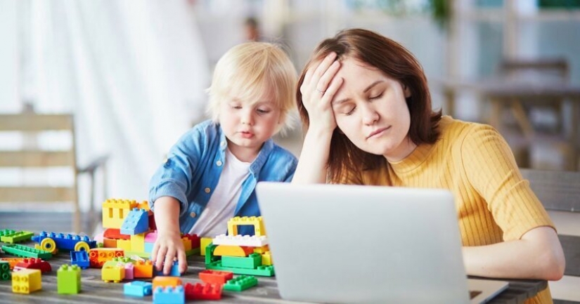 Es difícil: 19 ridículo y absurdo de los casos, las reuniones en línea durante la cuarentena