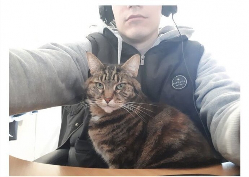 Es difícil: 19 ridículo y absurdo de los casos, las reuniones en línea durante la cuarentena