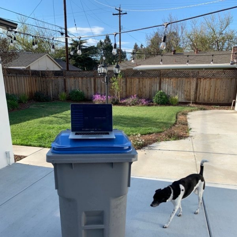 Es: la gente mostró cómo se tiene que trabajar desde casa en cuarentena