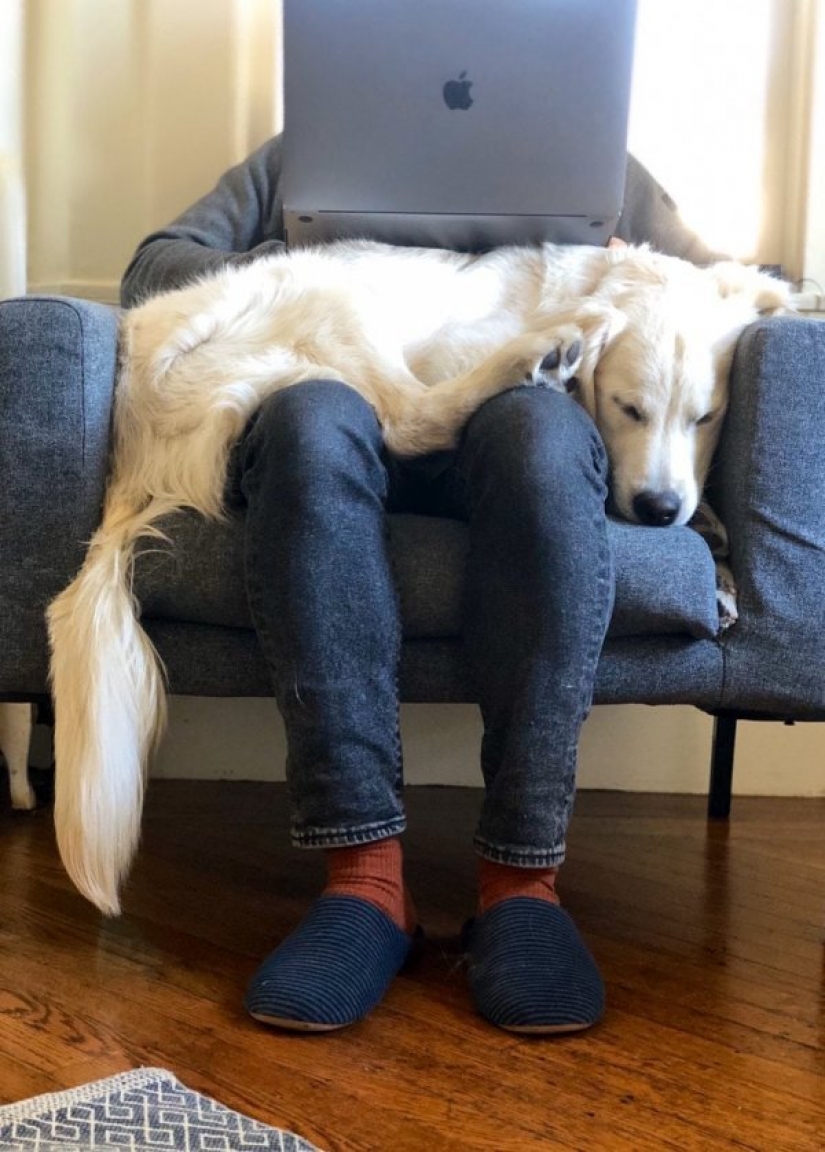 Es: la gente mostró cómo se tiene que trabajar desde casa en cuarentena