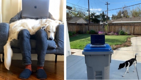 Es: la gente mostró cómo se tiene que trabajar desde casa en cuarentena Es: la gente mostró cómo se tiene que trabajar desde casa en cuarentena