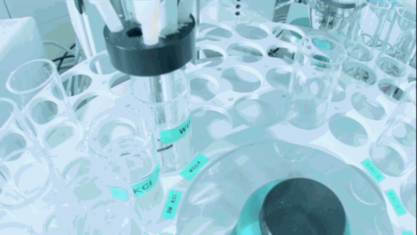 Esta pareja reproducido con éxito su perro después de su muerte Esta pareja reproducido con éxito su perro después de su muerte