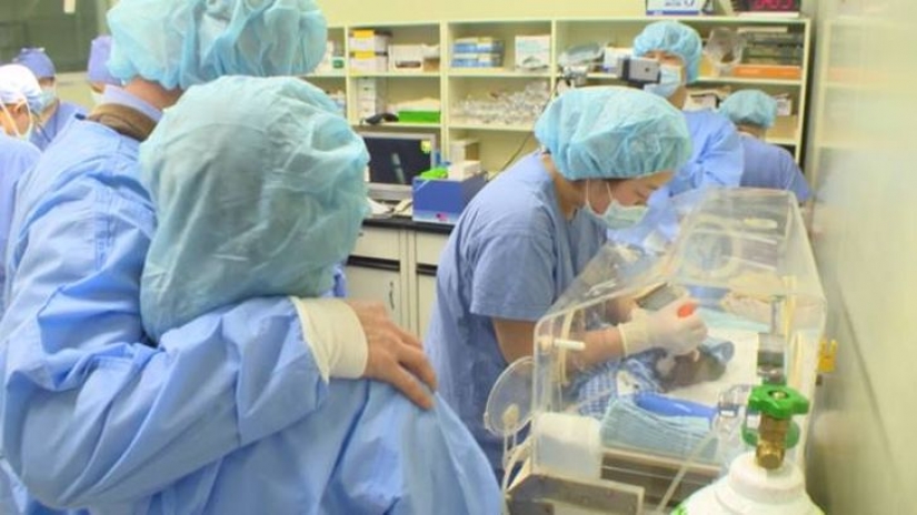 Esta pareja reproducido con éxito su perro después de su muerte Esta pareja reproducido con éxito su perro después de su muerte