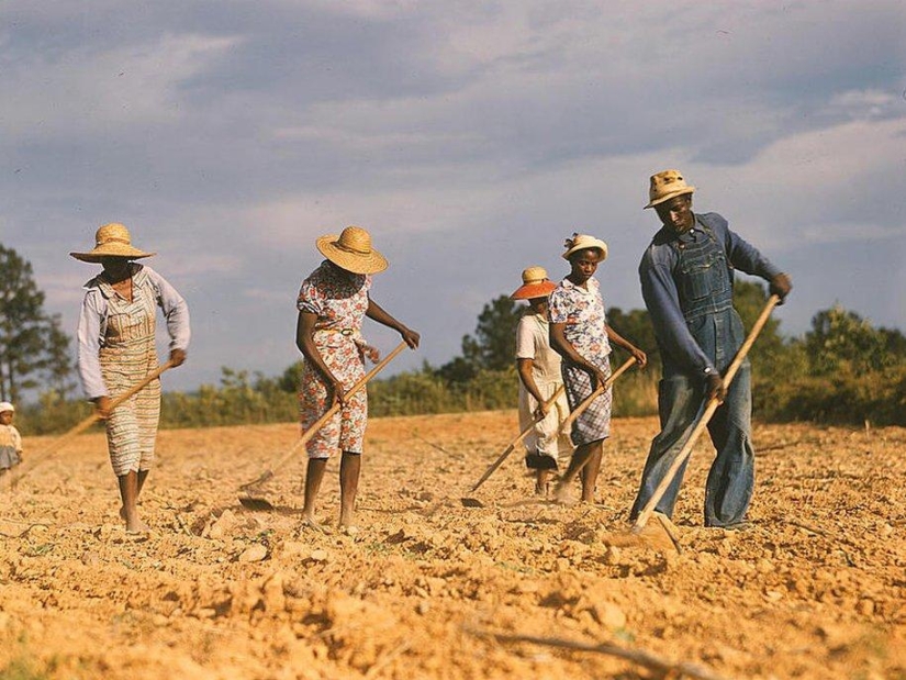 Estados Unidos durante la Primera Crisis Económica