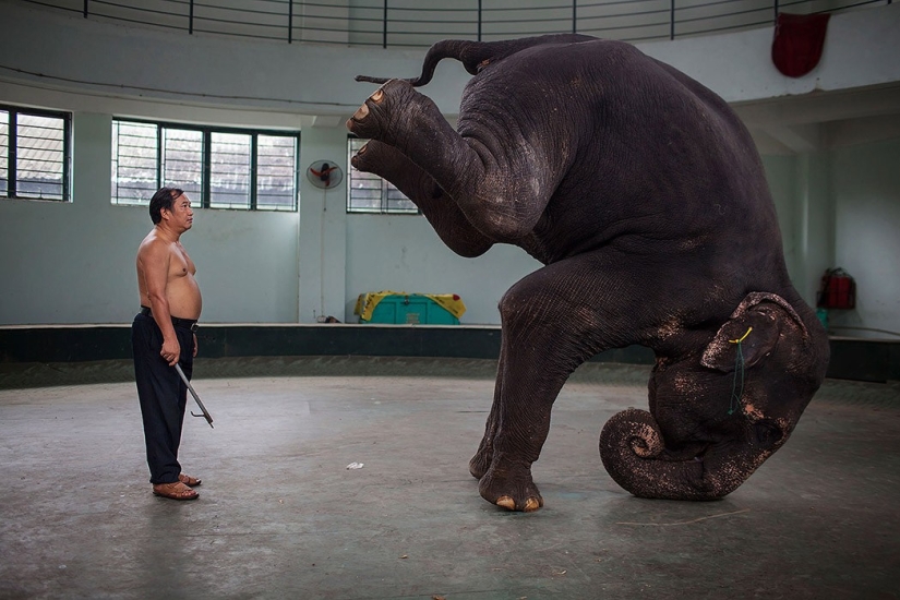 Estar en el personaje: La dura vida cotidiana de los artistas de circo vietnamitas