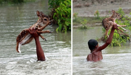 Estas fotos le devolverán la fe en la humanidad. Estas fotos le devolverán la fe en la humanidad.