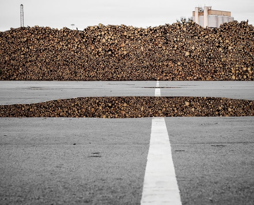 Estas fotos parecen falsas, pero son las más reales! Estas fotos parecen falsas, pero son las más reales!