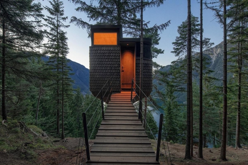 Exclusivas casas en los árboles Woodnest vapor en los bosques de noruega