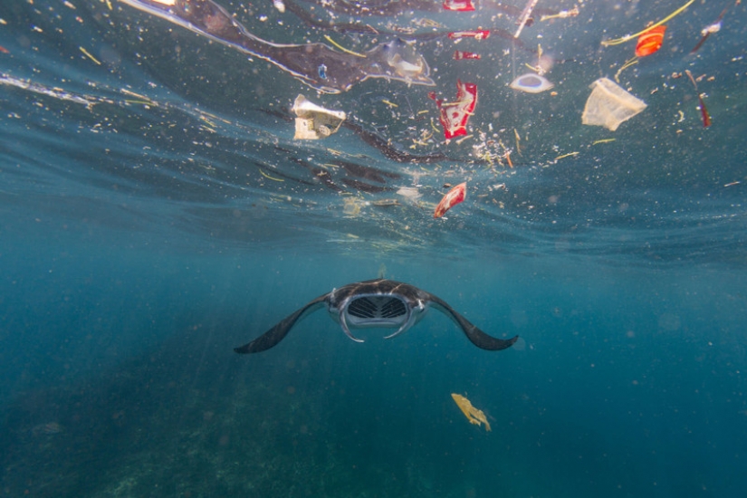 Eye-Opening Photos Show How Plastic Waste is Polluting Our Planet