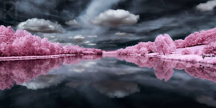Fairy world in infrared light