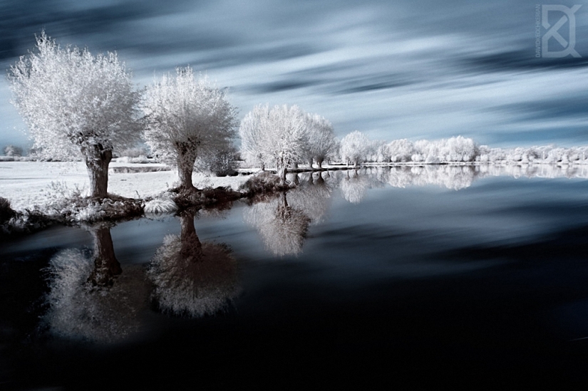 Fairy world in infrared light