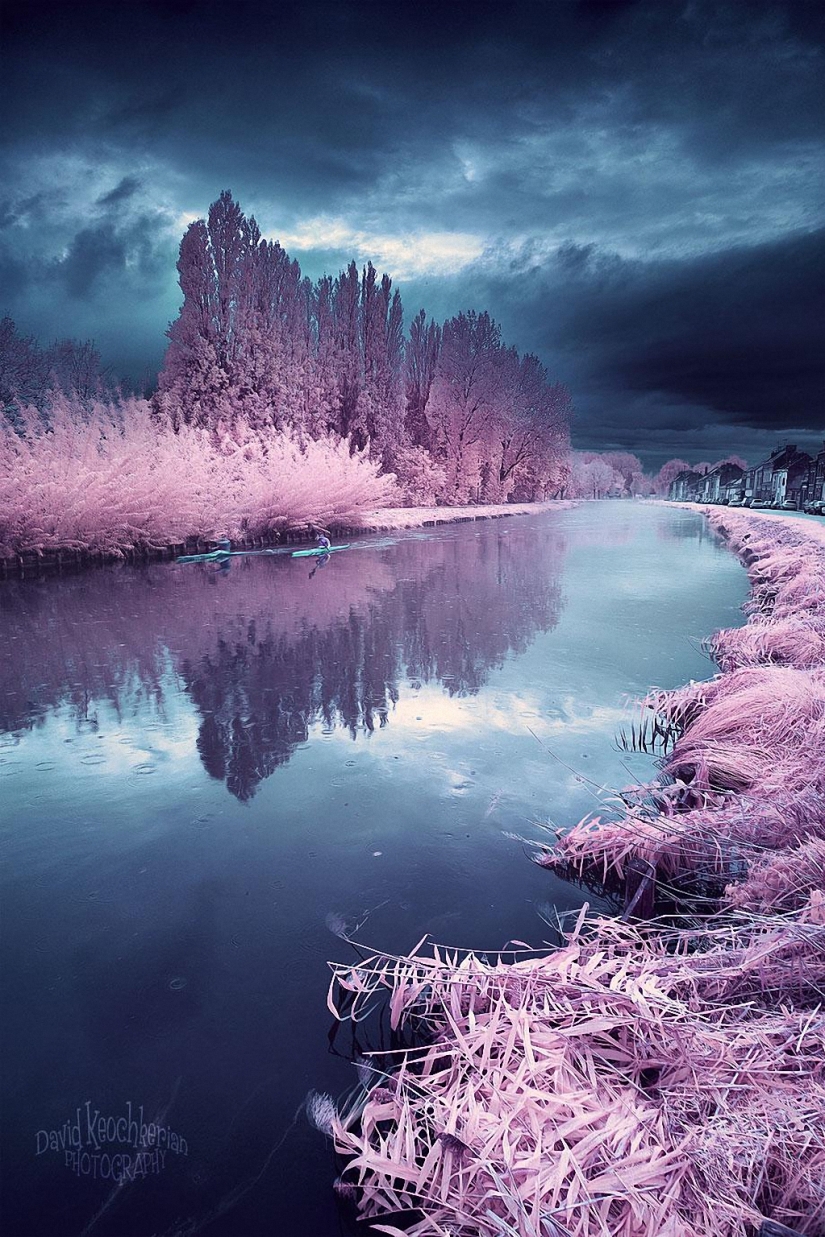 Fairy world in infrared light