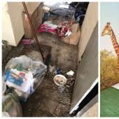 Family nest: how the British themselves have transformed an abandoned house in a small Paradise