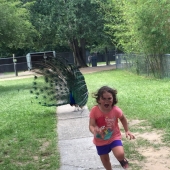 Family trip to the zoo went wrong