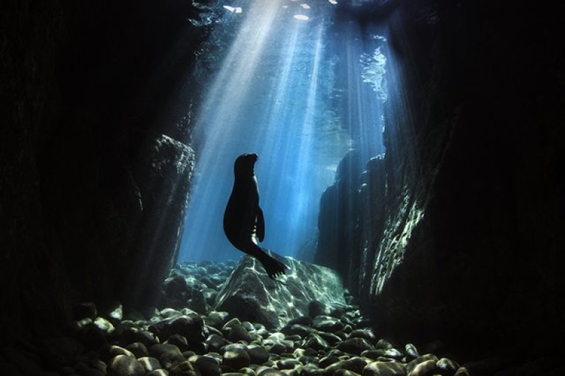 Featured stunning photography winning UN World Oceans Day Photo Contest