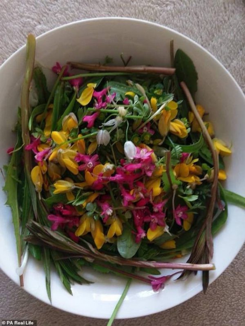 Filete de ardilla y espaguetis de algas marinas: los recolectores de Escocia comen todo lo que encuentran cerca de su hogar