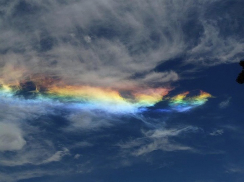 Fire rainbow Fire rainbow