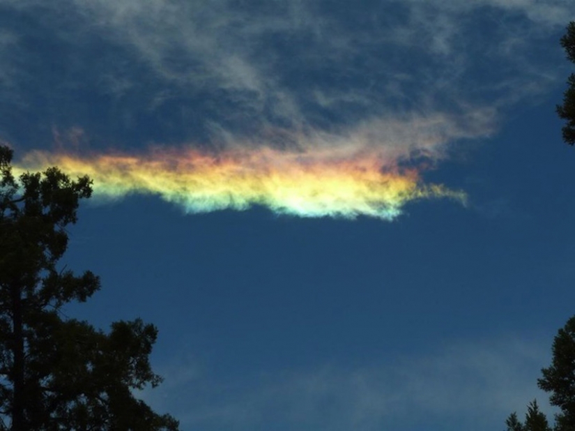Fire rainbow Fire rainbow