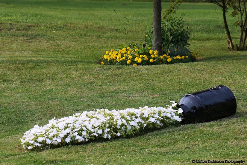 Flower pots that will turn your flowers into something amazing! Flower pots that will turn your flowers into something amazing!