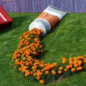 Flower pots that will turn your flowers into something amazing!